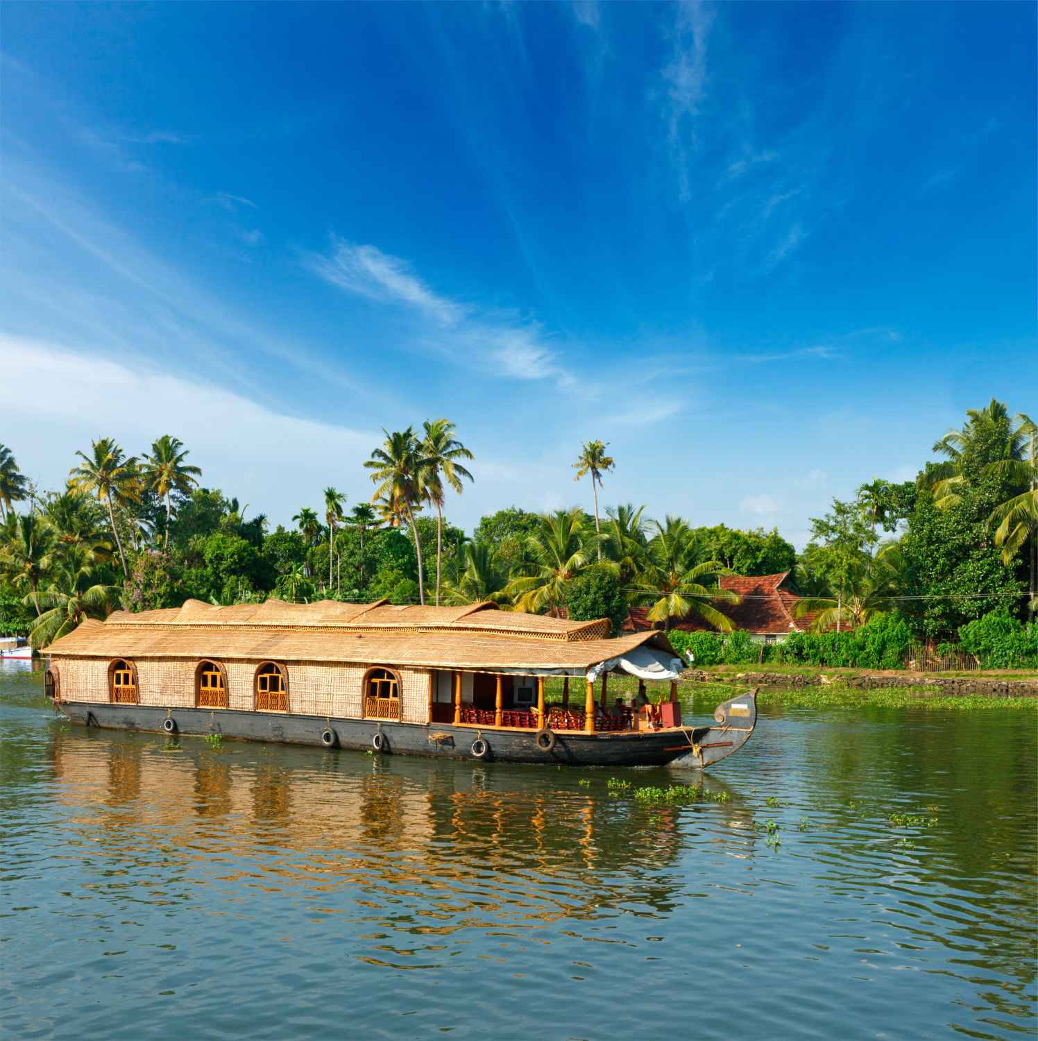South India 1